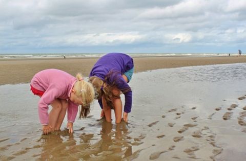 beach-514842__340__480x315.jpg